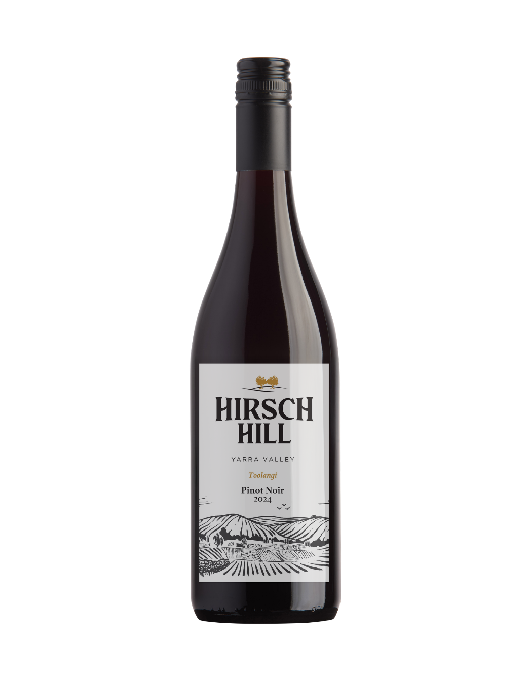 TPAV 2024 Toolangi Pinot Noir (12 Pack)